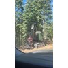 2018 John Deere 859M Track Feller Buncher